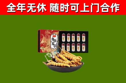 大悟县回收冬虫夏草价格